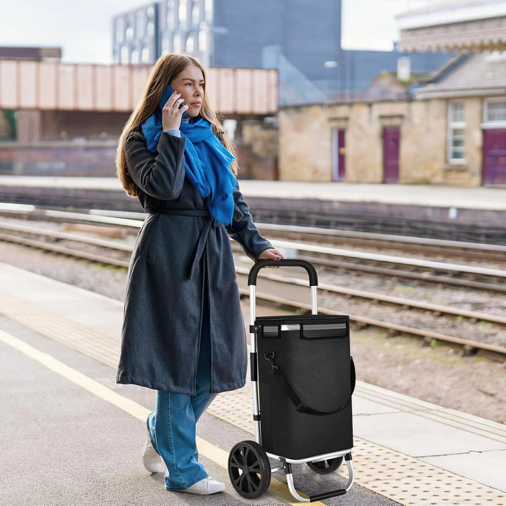 Einkaufstrolley klappbar mit Kühlfach, 40 L Einkaufswagen mit Rollen, abnehmbare Einkaufstasche, Han