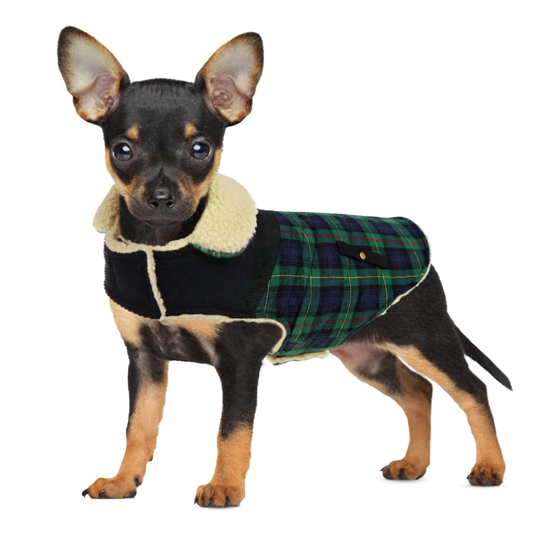 CITÉTOILE Warme Hundemantel Fleece, Wintermantel Winterjacken für Kleine/Grosse/Mittlere Hunde, Hund