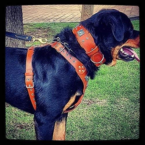 Bestia |EROS| Leder Brustgeschirr für grosse Hunde. Bis 145 cm Brustumfang. 100% Leder. Handgefertig