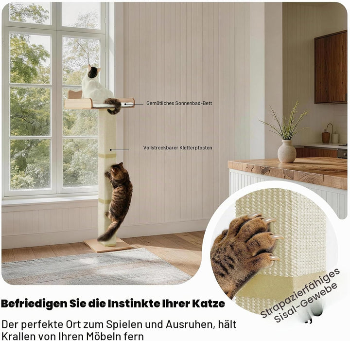 Katzenrastenstange mit Kratzbaum, Katzenhängematte für Fenster mit 2 Saugnäpfen, Sisal Hoher Katzenk