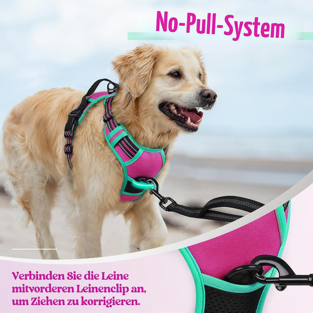 rabbitgoo Hundegeschirr Mittelgrosse Hunde, Anti Zug Geschirr mit Kontrolle, No Pull Verstellbar Hun