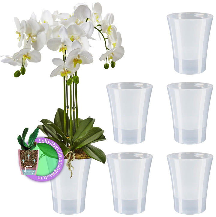 Santino 6er-Set Orchideentopf transparent mit selbstbewässerndem Dochtsystem - D 15 cm - Transparent
