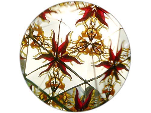 Kaleidoskop Konstruktor für Kinder, originales Design mit Blumen, natürliche Materialien, Spielzeug,