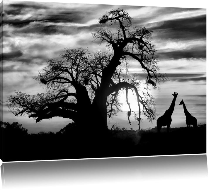 Pixxprint Monocrome, Zwei Giraffen in der Wüste, Format: 100x70 auf Leinwand, 100x70