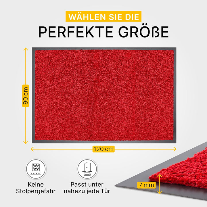 Entrando Schmutzfangmatte 90x120 cm - für innen und aussen, waschbar, rutschfest, dünn - ideal für E