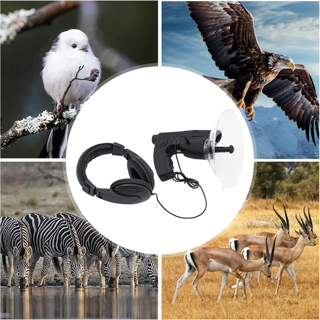 Parabolantenne Richtmikrofon, Monokulares 8X-faches Fernhören, Teleskop zum Abhören von Vögeln, Bush