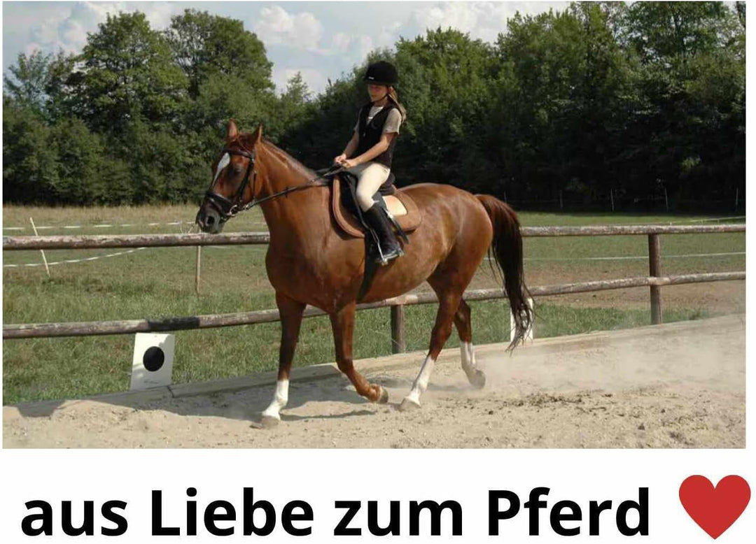 Wintec Kopfeisen oder Bates Sattel Kopfeisen 005/50, 1 Stück (1er Pack)