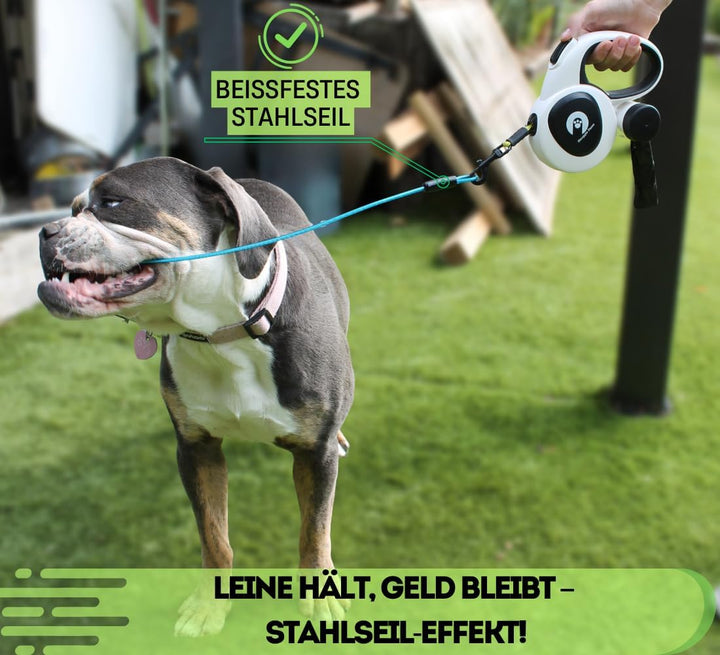 Snuggle Paws Ausziehbare Hundeleine 5m – Kompakt & Leicht: LED-Lampe, Integrierter Kotbeutelspender,