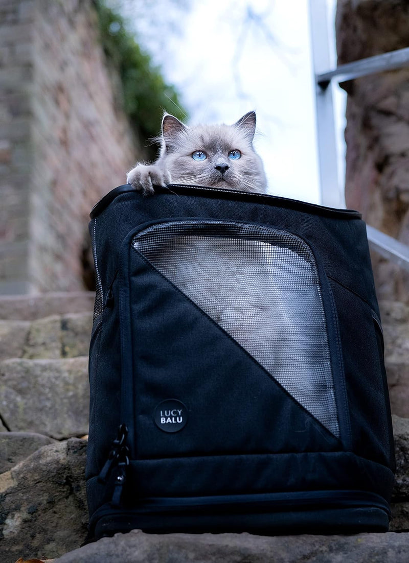 LucyBalu® HOP-ON Premium Katzenrucksack mit Fenster | Katzentransporttasche | Katzenbox | Katzen Tra