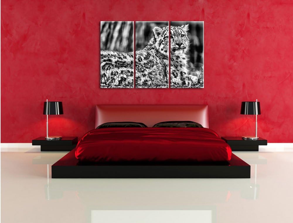 Pixxprint Monocrome, anmutiger Schneeleopard 3-Teiler Leinwandbild 120x80 Bild auf Leinwand