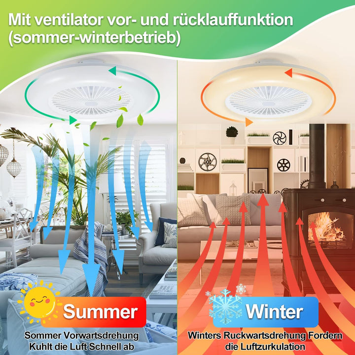 Daromigo Deckenventilator Mit Beleuchtung, 80W LED Stufenloses Dimmen Ventilator Beide Richtungen Dr