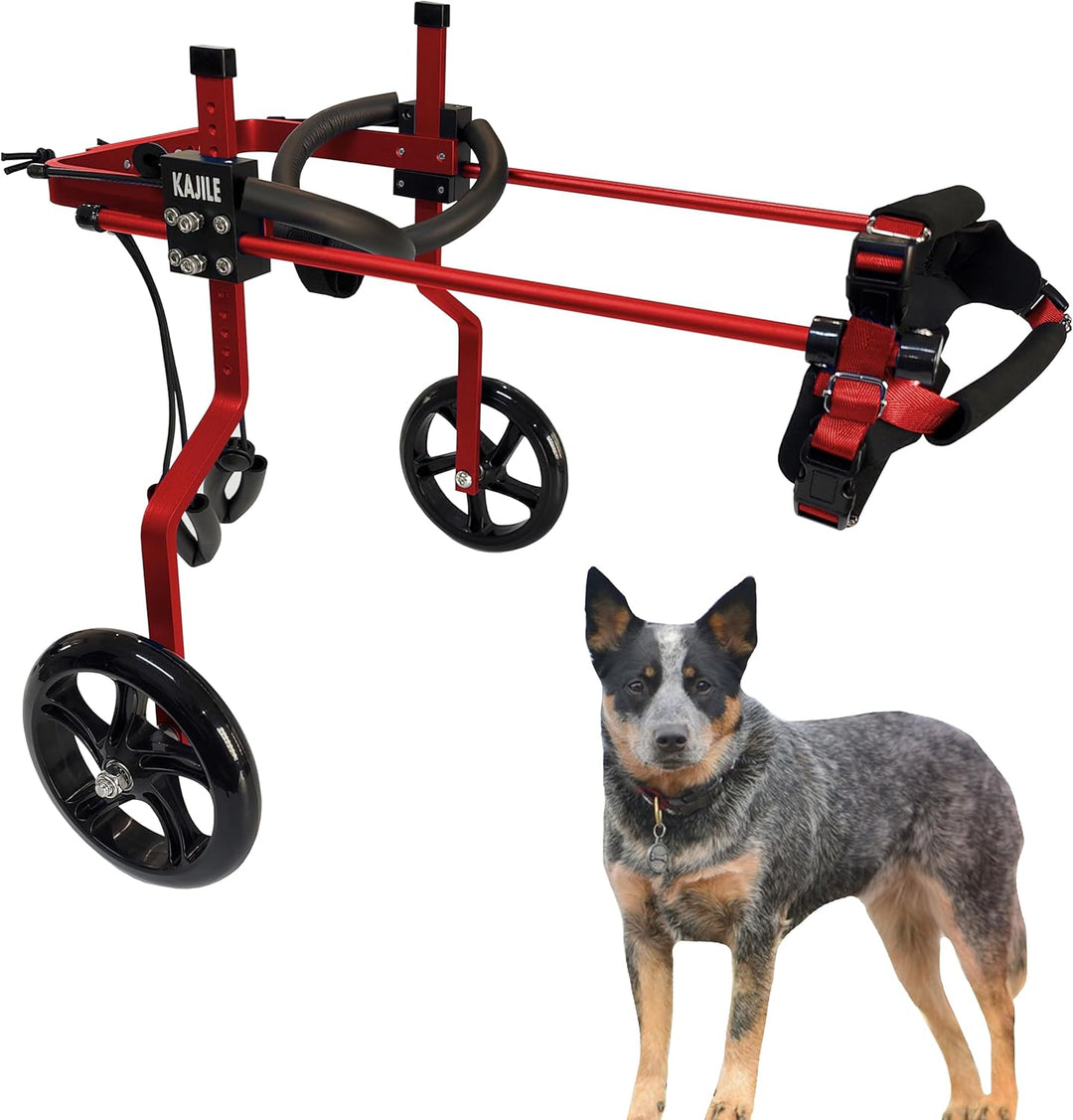KAJILE Verstellbarer 2-Rad-Hunderollstuhl, M-3 Grösse für behinderte Hund Hinterbeine Rehabilitation