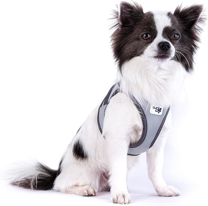 Glow curli Clasp Vest Harness Reflective Gray S, S