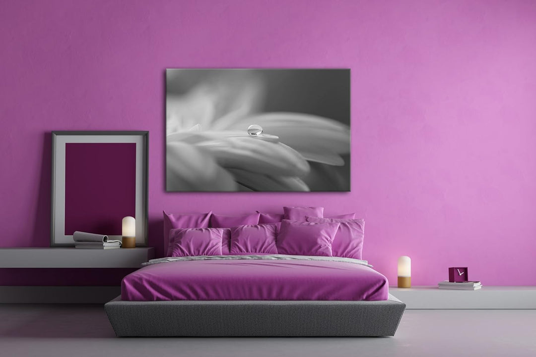 deyoli Wassertropfen auf Blauer Blume Effekt: Schwarz/Weiss im Format: 60x40 als Leinwandbild, Motiv