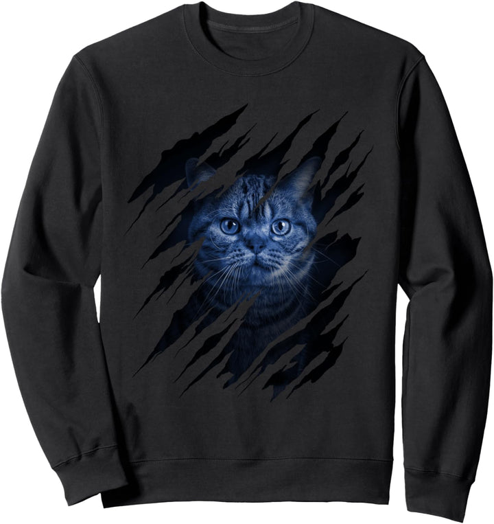 Blaues Kätzchen Riss - Katzenfreund-in Crazy Cat Lady Katzen Sweatshirt