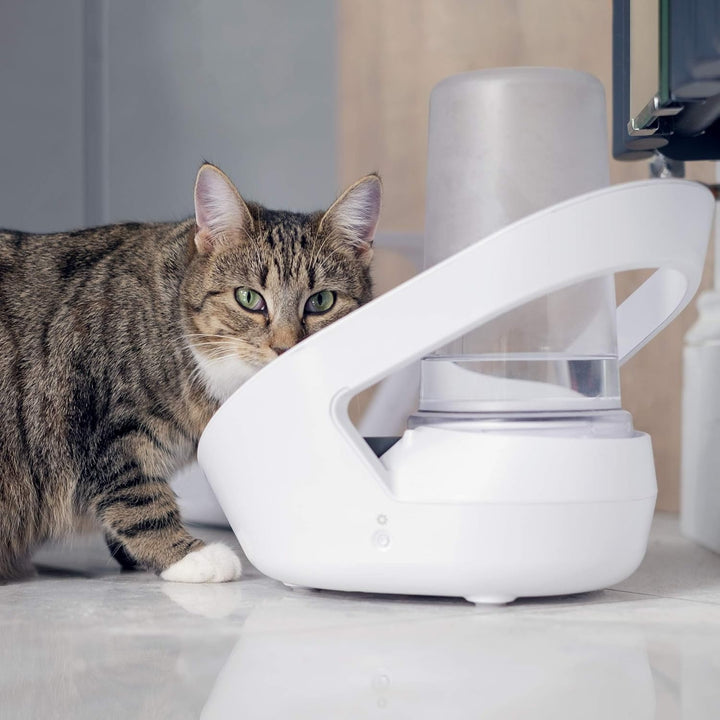 Sure Petcare Felaqua Connect, Katzen-Wassernapf, kompatibel mit RFID-Halsbändern und Mikrochips, bat