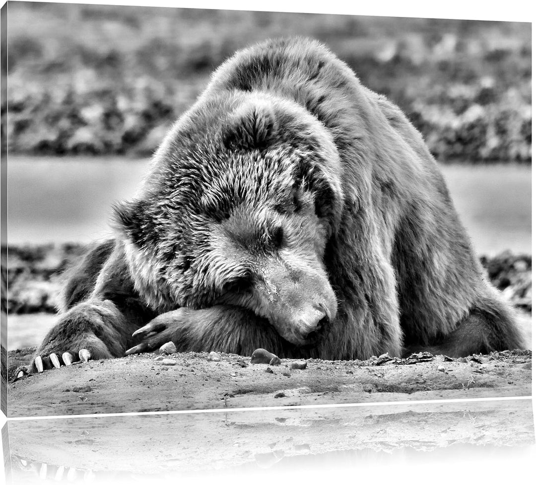 Pixxprint Bär am Sandstrand / 100x70cm Leinwandbild bespannt auf Holzrahmen/Wandbild Kunstdruck Deko