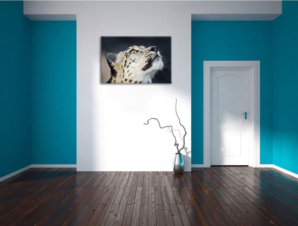 Pixxprint aufschauender Schneeleopard auf Leinwand, XXL riesige Bilder fertig gerahmt mit Keilrahmen