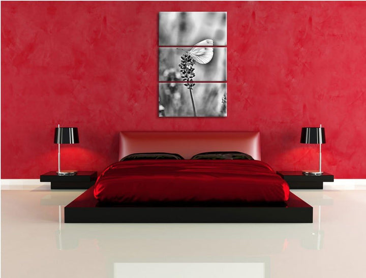 Pixxprint Schmetterling auf Lavendel als Leinwandbild/Grösse: 3 Teilig (120x80) cm/Wandbild/Kunstdru