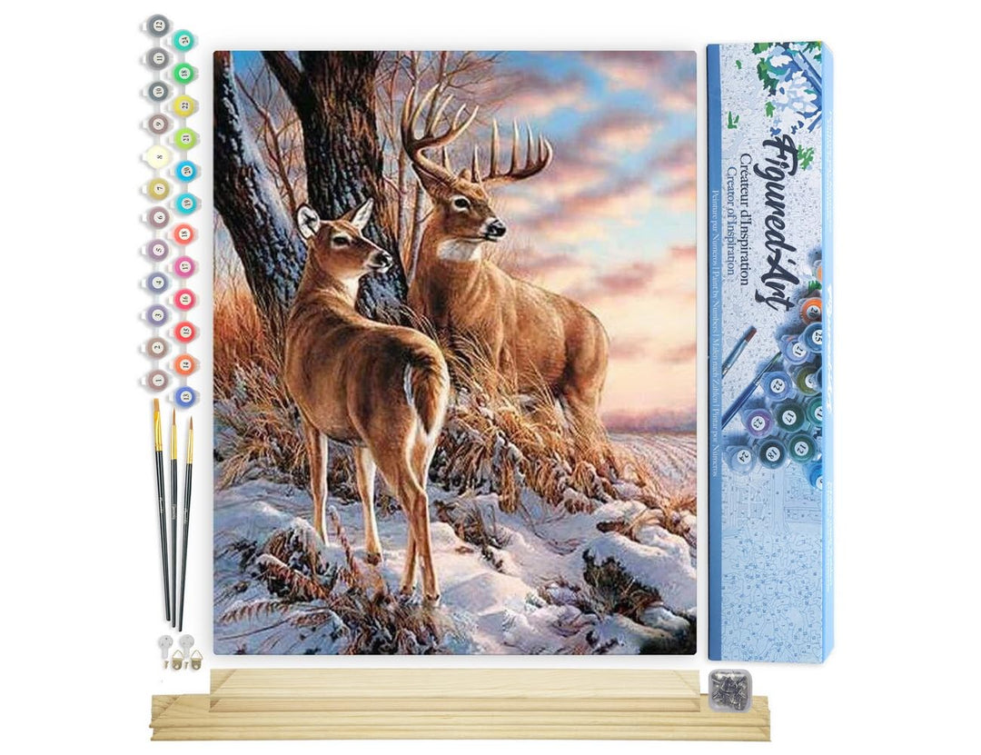 Figured'Art Malen Nach Zahlen Erwachsene Mit Rahmen Hirsch im Winter - Paint by Numbers Basteln DIY