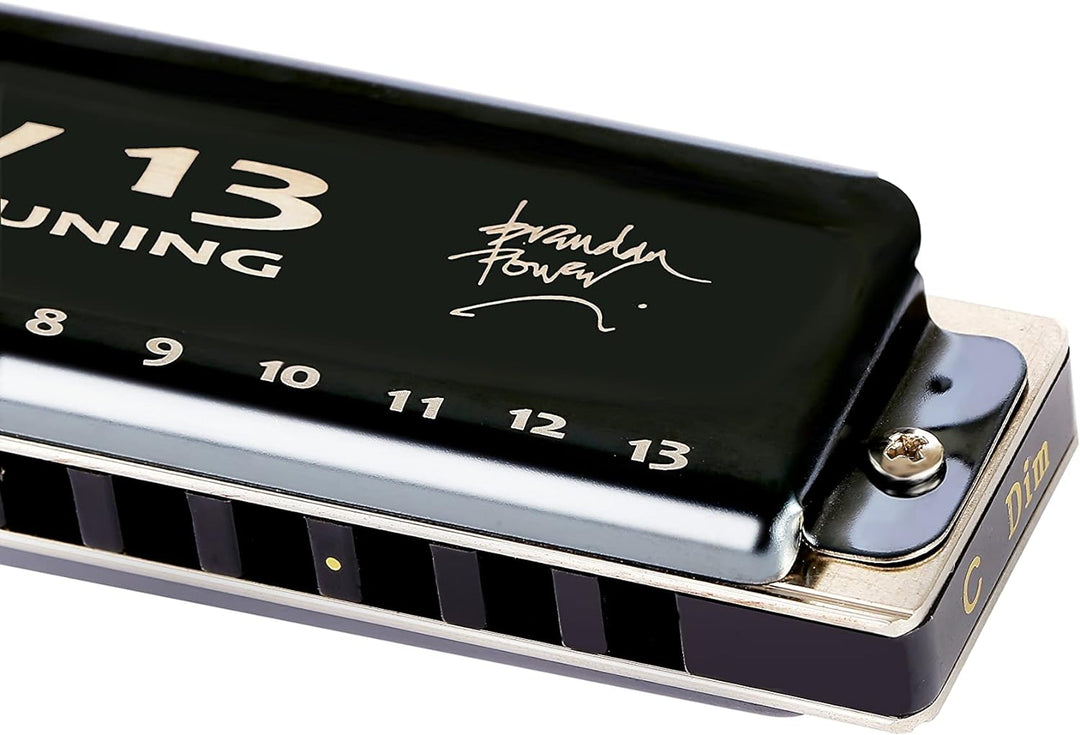 East top Lucky 13 Bass Plus Blues Harmonica 13 Holes Diatonic Harp Mouth Organ Professional Musical