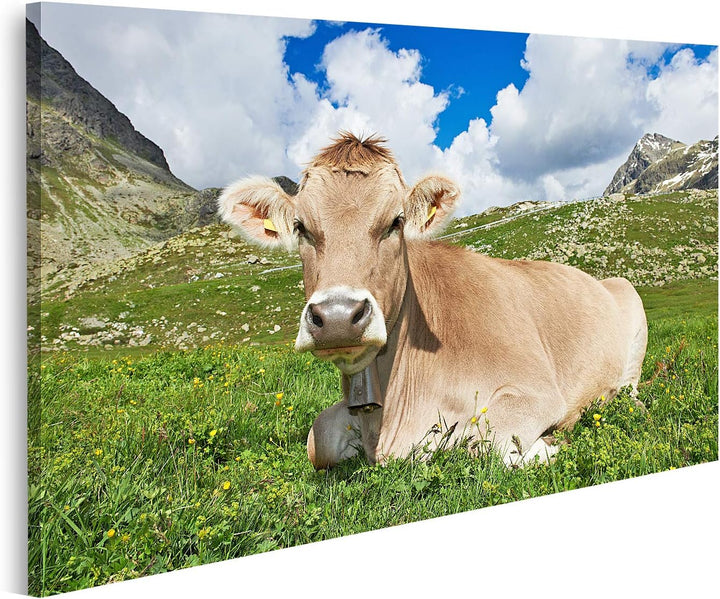 islandburner Bild auf Leinwand Braune Kuh Auf Grüner Grasweide Bilder Wandbilder Poster Leinwand 80x