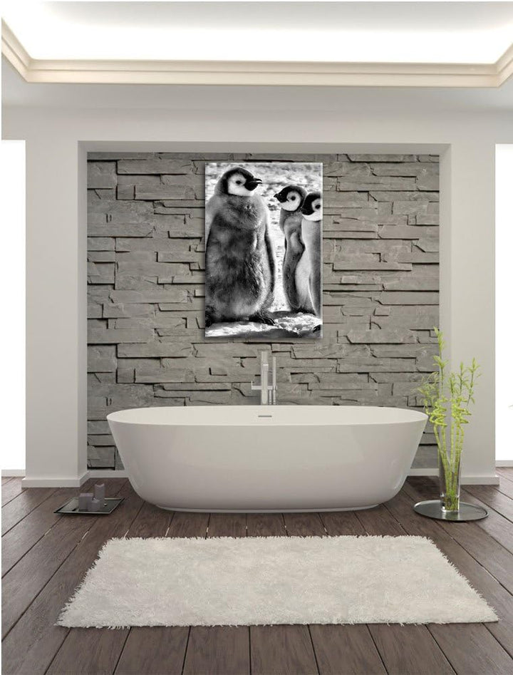 Pixxprint DREI Kaiserpinguin-Küken/Format: 100x70cm / Leinwandbild fertig bespannt Wandbild Kunstdru
