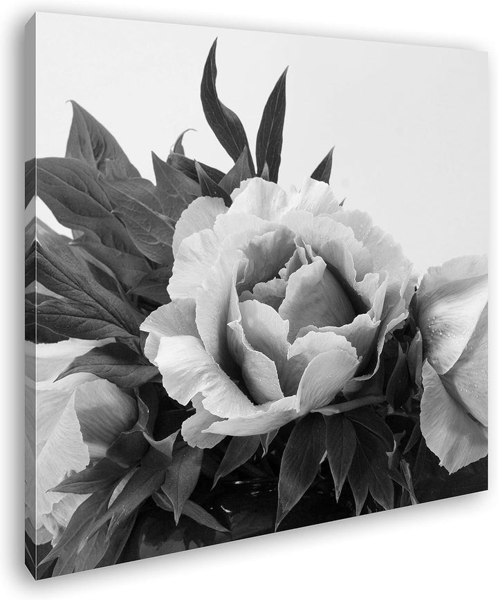 deyoli schöner Blumenstrauss mit Pfingstrosen im Format: 70x70 Effekt: Schwarz&Weiss als Leinwandbil