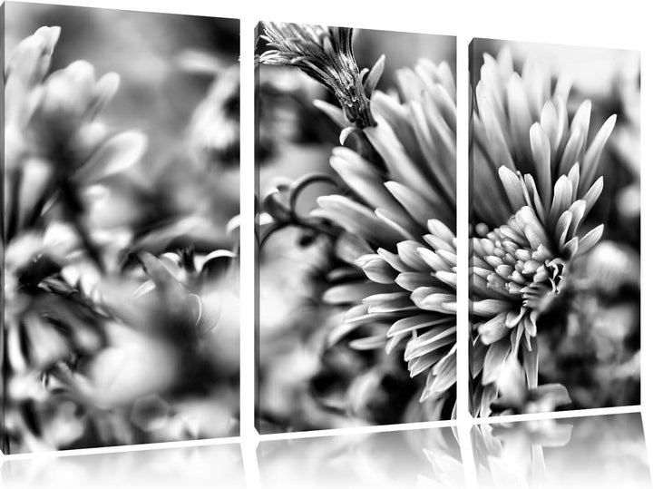 Pixxprint Romantische Blumen als Leinwandbild/Grösse: 3 Teilig (120x80) cm/Wandbild/Kunstdruck/ferti