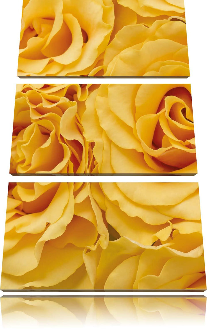 Pixxprint Blumen Rosen / 3-Teilig/Gesamtmass 120cm Leinwandbild bespannt auf Holzrahmen/Wandbild Kun
