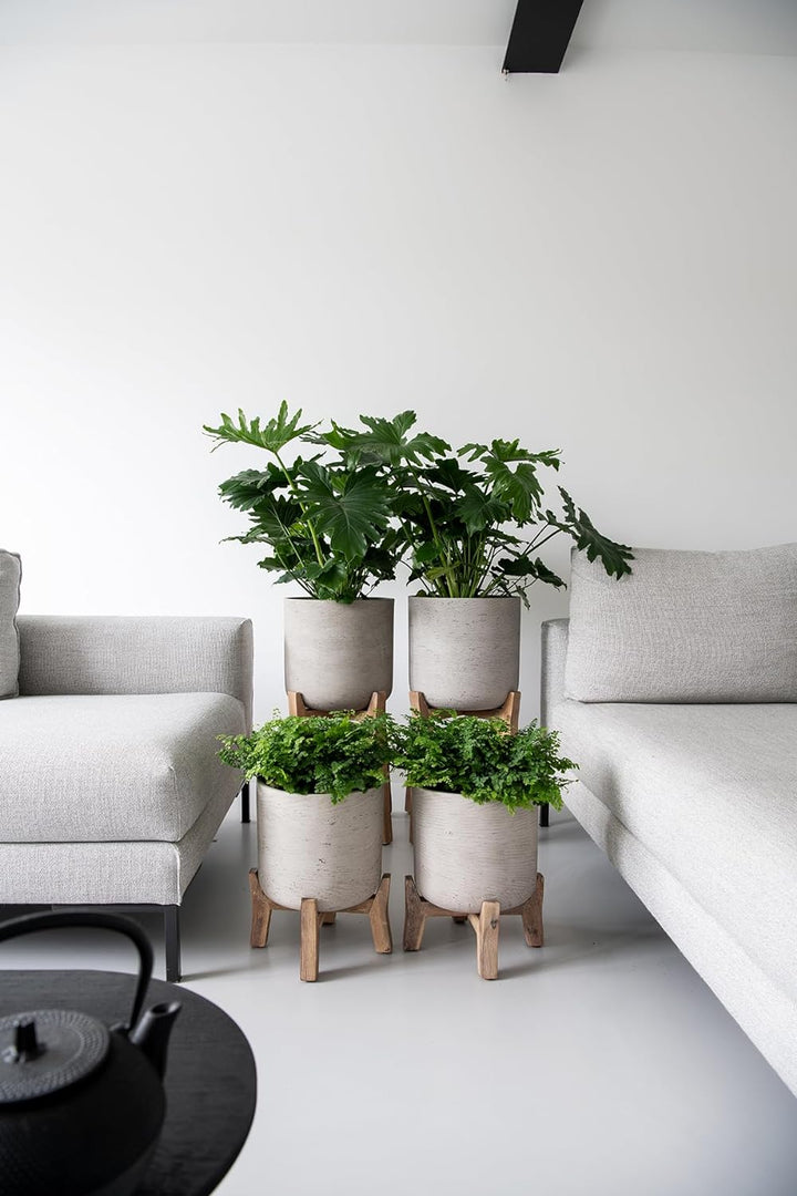 Finestgreen Charlie Feet High | Handgefertigtes Pflanzgefäss auf Holzfüssen (XL Ø:40 H:67 cm, Grau)