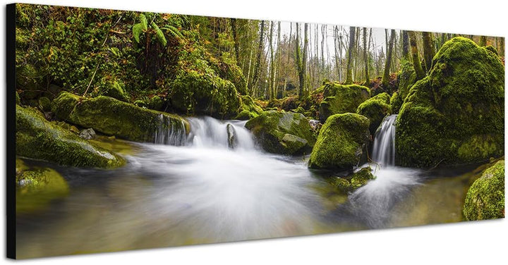 Paul Sinus Art Panoramabild auf Leinwand und Keilrahmen 150x50cm Wald Steine Moos Waldbach Herbst