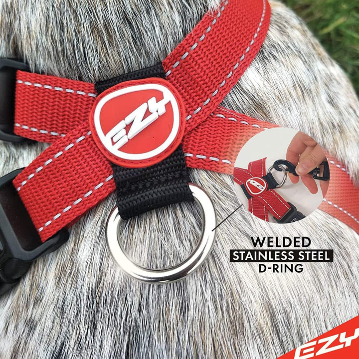 EZYDOG Hundegeschirr Classic Chest Plate | Hundegeschirr Kleine Hunde, K9 Hundegeschirr, Hundegeschi