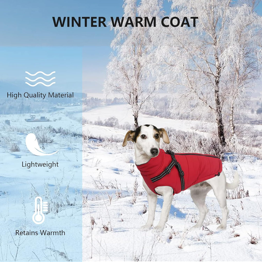 Pethiy -Super Warm Hunde wintermäntel mit Geschirr, Hundejacke mit Innenfleece, Wasserdichte Kleine