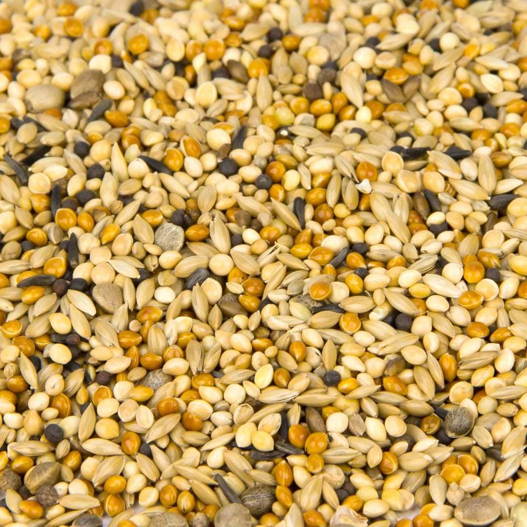 Leimüller Taubenfutter Sämereien Mix 25 kg - Artgerechtes Futter ohne GVO und Staub