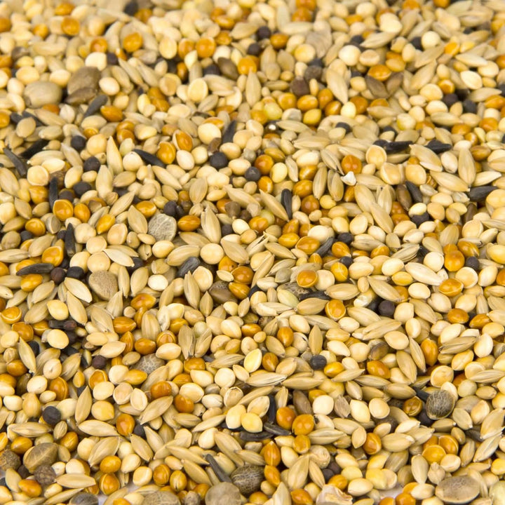 Leimüller Taubenfutter Sämereien Mix 25 kg - Artgerechtes Futter ohne GVO und Staub