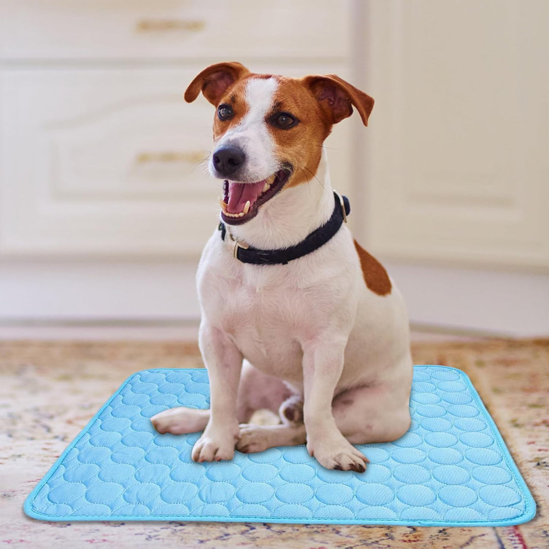 Kühlmatte SelbstküHlend für Hund Und Katze, Dünn Kühldecke Hund Sommer Hundematte Bett Kühldecke Rut