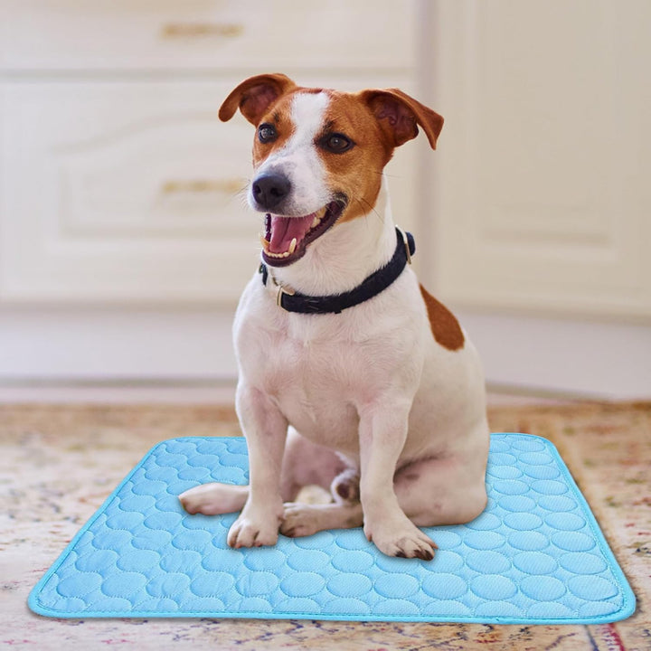 Kühlmatte SelbstküHlend für Hund Und Katze, Dünn Kühldecke Hund Sommer Hundematte Bett Kühldecke Rut