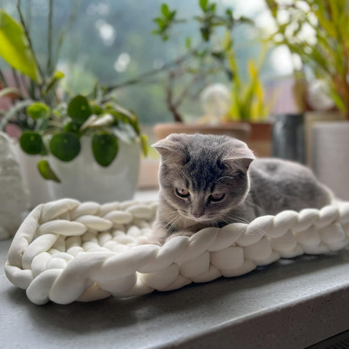 Aumüller Katzenkorb und Fensterbankliege Grobstrick - Schlafplatz für Katzen, Beige