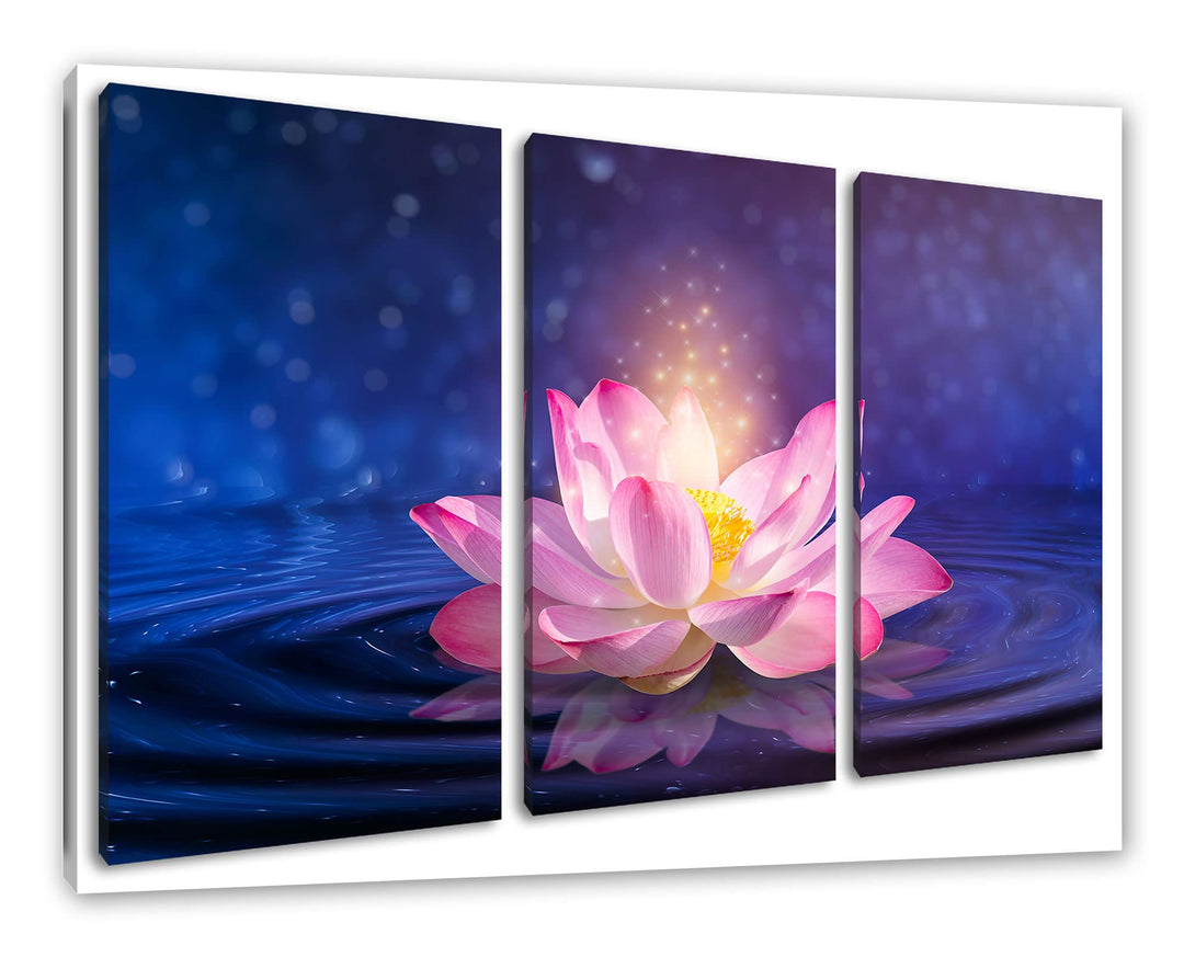 pinker Lotus im Wasserals Leinwandbild 3 teilig | Grösse: 120x80 cm | Wandbild | Kunstdruck | fertig