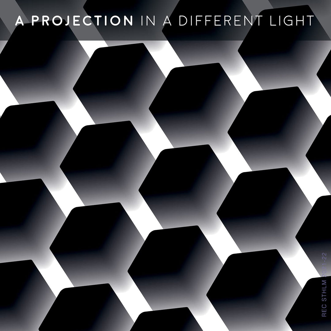 In a Different Light, Vinyl