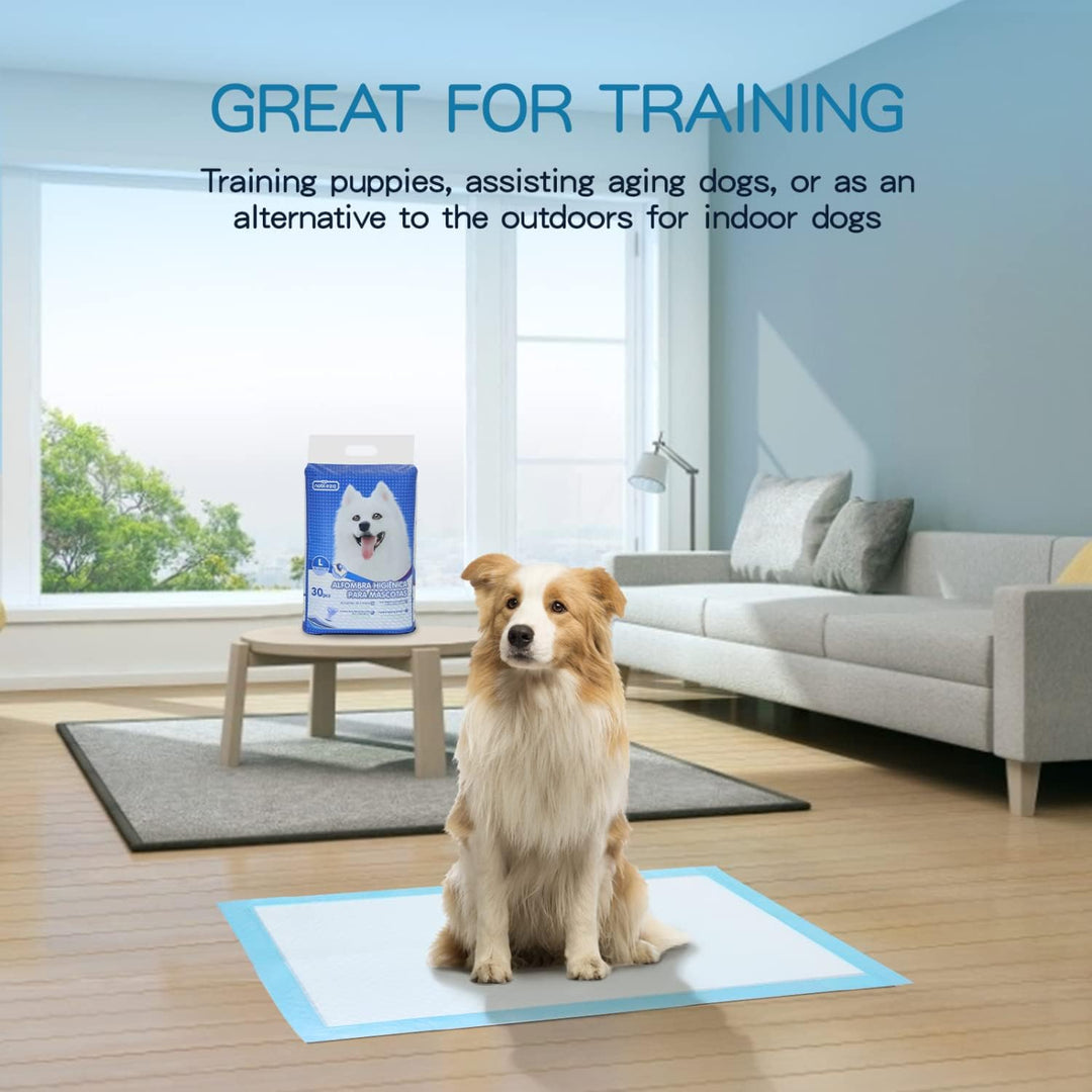 Nobleza -90 x Ultra saugfähige Hunde Trainingsunterlagen Welpenunterlage Welpen Toilettenmatte, 60 *