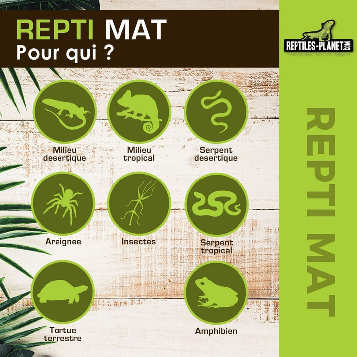 Reptiles Planet Heizmatte für Reptile matt 35 W 65 x 28 cm 65 x 28 cm (1er Pack), 65 x 28 cm (1er Pa