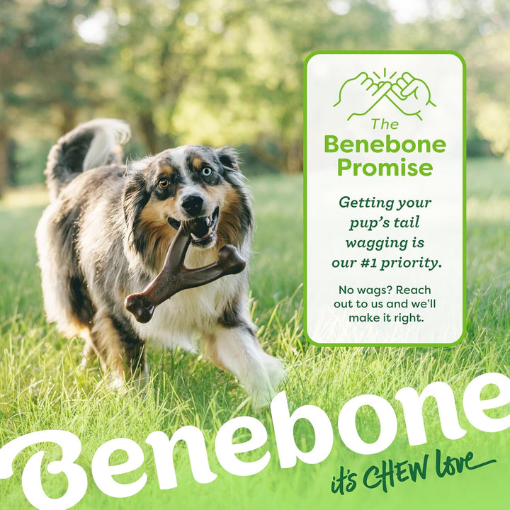 Benebone 2-Pack Indestructible Dental Chew/Wishbone for Aggressive Chewers, Long Lasting Tough Bored