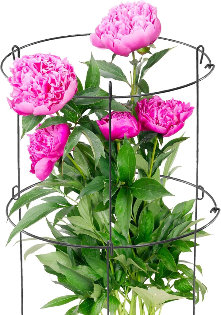 KADAX 2X Gartenstütze aus Stahl pulverbeschichtet Set, Pflanzehalter, Blumenstütze, Pflanzestütze, R