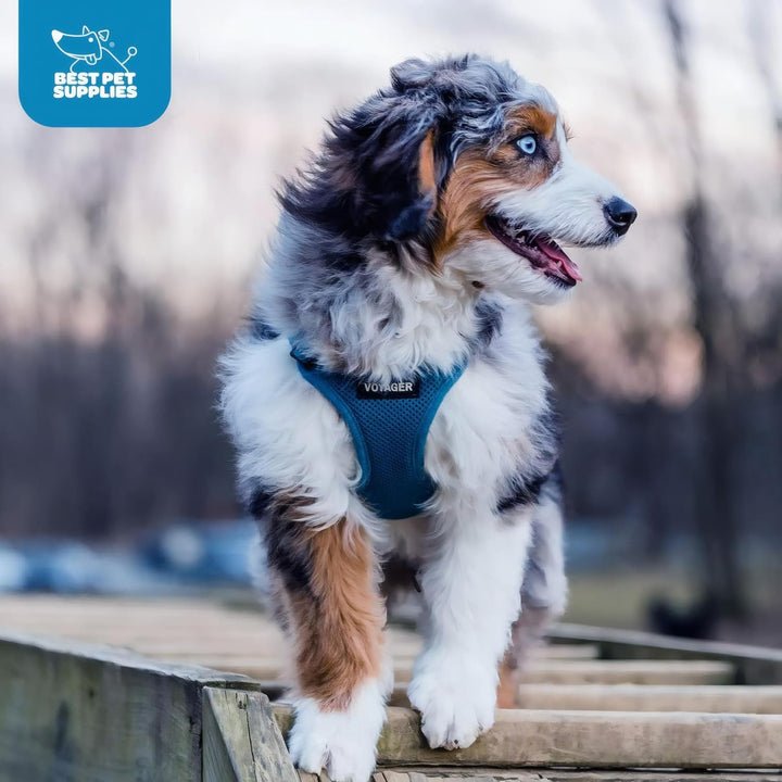 Voyager Step-In Air Hundegeschirr by Best Pet Supplies - All Weather Mesh Step in Vest Harness für k