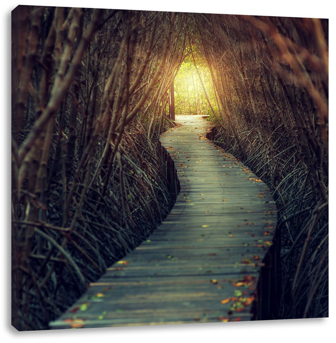Gehweg im Wald, Format: 70x70 auf Leinwand, XXL riesige Bilder fertig gerahmt mit Keilrahmen, Kunstd