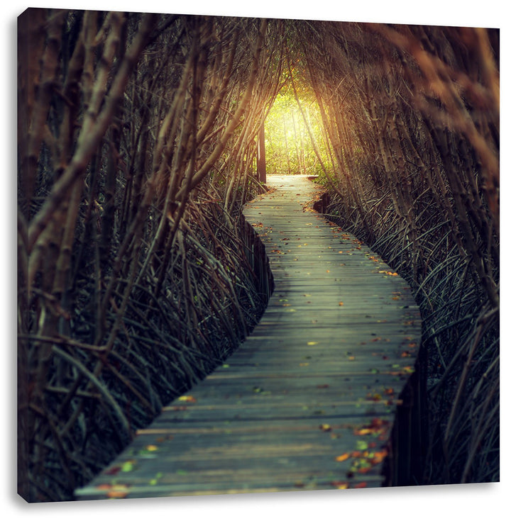 Gehweg im Wald, Format: 70x70 auf Leinwand, XXL riesige Bilder fertig gerahmt mit Keilrahmen, Kunstd