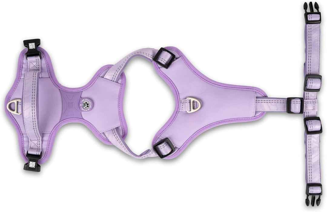 Max & Molly Sport Hundegeschirr Mittelgrosse Hunde mit Gotcha! Smart ID Sicherheitsanhänger, Matrix