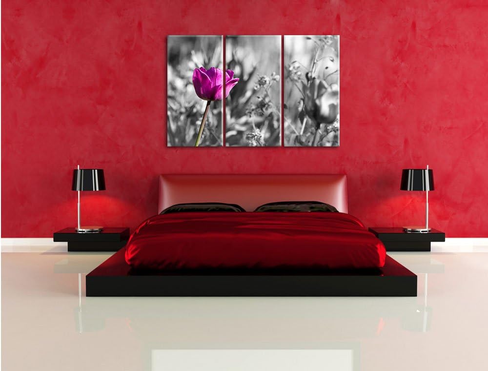Pixxprint Blumen im Sonnenschein B&W Detail 3-Teiler Leinwandbild 120x80 Bild auf Leinwand